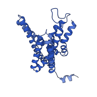 3061_5a63_C_v1-6
Cryo-EM structure of the human gamma-secretase complex at 3.4 angstrom resolution.