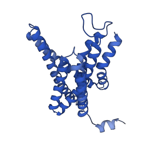 3061_5a63_C_v2-0
Cryo-EM structure of the human gamma-secretase complex at 3.4 angstrom resolution.