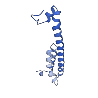 3061_5a63_D_v1-6
Cryo-EM structure of the human gamma-secretase complex at 3.4 angstrom resolution.