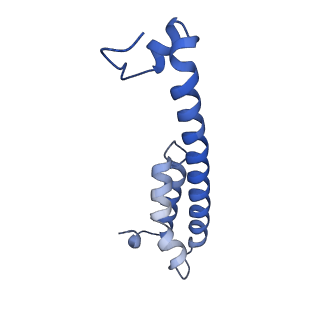 3061_5a63_D_v2-0
Cryo-EM structure of the human gamma-secretase complex at 3.4 angstrom resolution.