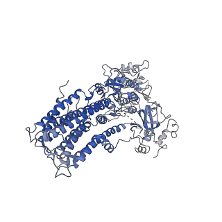 6987_6a69_A_v1-1
Cryo-EM structure of a P-type ATPase