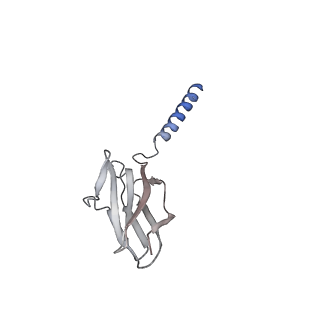 6987_6a69_B_v1-1
Cryo-EM structure of a P-type ATPase