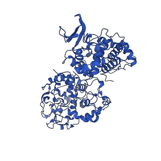 11676_7a7a_B_v1-1
Cryo-EM structure of W107R after heme uptake (2heme molecules) KatG from M. tuberculosis