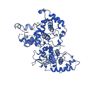 11677_7a7c_A_v1-1
Cryo-EM structure of W107R after heme uptake (1heme molecule) KatG from M. tuberculosis