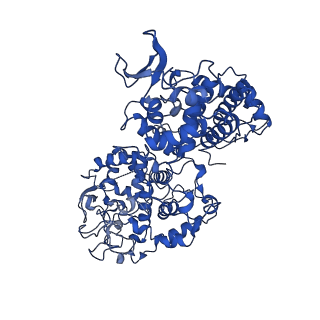 11677_7a7c_B_v1-1
Cryo-EM structure of W107R after heme uptake (1heme molecule) KatG from M. tuberculosis