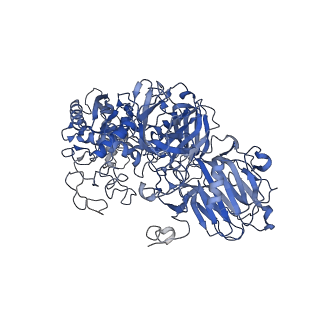 15220_8a7d_C_v1-0
Partial dimer complex of PAPP-A and its inhibitor STC2