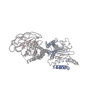 6991_6a70_B_v1-4
Structure of the human PKD1/PKD2 complex