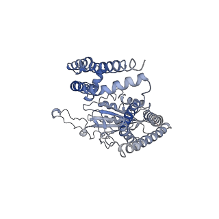 6991_6a70_F_v1-5
Structure of the human PKD1/PKD2 complex