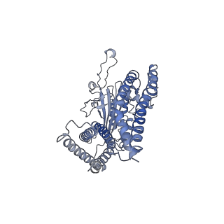6991_6a70_G_v1-4
Structure of the human PKD1/PKD2 complex