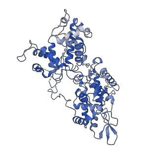 11680_7a8z_A_v1-1
Cryo-EM structure of T275P KatG from M. tuberculosis