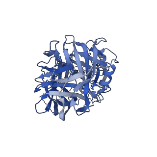 15229_8a8c_B_v1-3
T5 phage receptor-binding protein pb5 bound to ferrichrome transporter FhuA