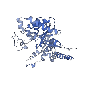 15230_8a8e_B_v1-0
PPSA C terminal octahedral structure