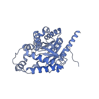 15230_8a8e_F_v1-0
PPSA C terminal octahedral structure