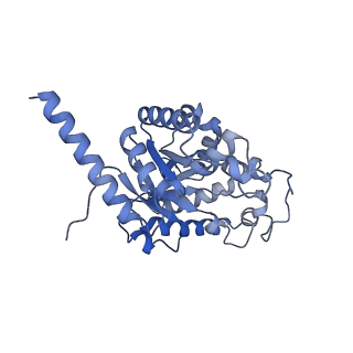 15230_8a8e_H_v1-0
PPSA C terminal octahedral structure
