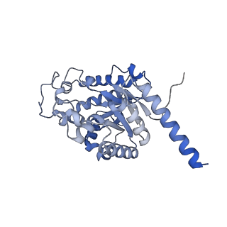 15230_8a8e_N_v1-0
PPSA C terminal octahedral structure