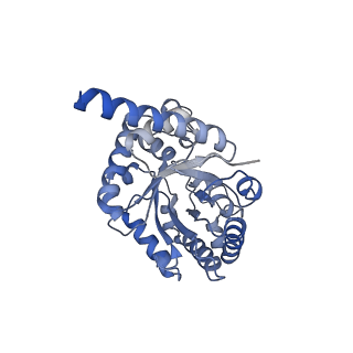 15230_8a8e_T_v1-0
PPSA C terminal octahedral structure