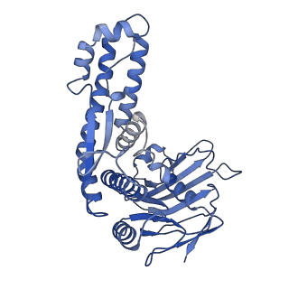 15231_8a8j_A_v1-2
Complex of RecF and DNA from Thermus thermophilus.