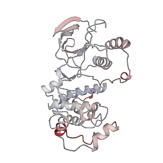 15233_8a8m_A_v1-3
Structure of the MAPK p38alpha in complex with its activating MAP2K MKK6