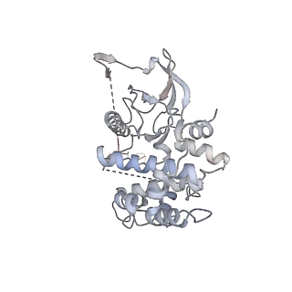 15233_8a8m_B_v1-3
Structure of the MAPK p38alpha in complex with its activating MAP2K MKK6