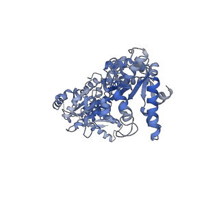 15240_8a8u_C_v1-1
Mycobacterium tuberculosis ClpC1 hexamer structure