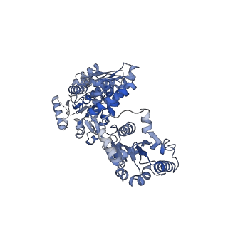 15240_8a8u_D_v1-1
Mycobacterium tuberculosis ClpC1 hexamer structure