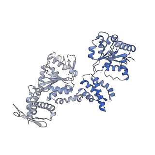 15241_8a8v_A_v1-1
Mycobacterium tuberculosis ClpC1 hexamer structure bound to the natural product antibiotic Cyclomarin