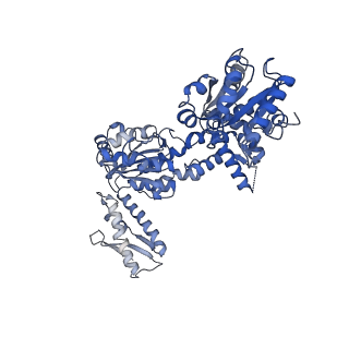 15241_8a8v_B_v1-1
Mycobacterium tuberculosis ClpC1 hexamer structure bound to the natural product antibiotic Cyclomarin