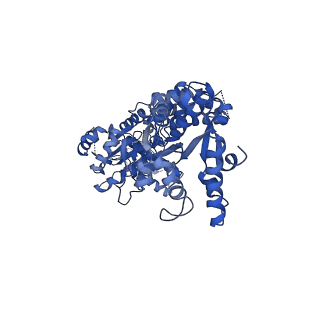 15241_8a8v_C_v1-1
Mycobacterium tuberculosis ClpC1 hexamer structure bound to the natural product antibiotic Cyclomarin