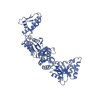 15241_8a8v_E_v1-1
Mycobacterium tuberculosis ClpC1 hexamer structure bound to the natural product antibiotic Cyclomarin