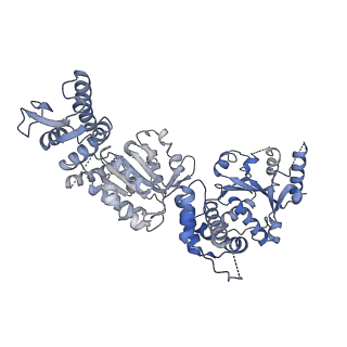 15241_8a8v_F_v1-1
Mycobacterium tuberculosis ClpC1 hexamer structure bound to the natural product antibiotic Cyclomarin