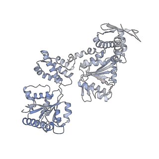 15242_8a8w_A_v1-1
Mycobacterium tuberculosis ClpC1 hexamer structure bound to the natural product antibiotic Ecumycin (class 1)