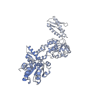 15242_8a8w_B_v1-1
Mycobacterium tuberculosis ClpC1 hexamer structure bound to the natural product antibiotic Ecumycin (class 1)