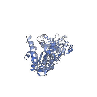 15242_8a8w_C_v1-1
Mycobacterium tuberculosis ClpC1 hexamer structure bound to the natural product antibiotic Ecumycin (class 1)