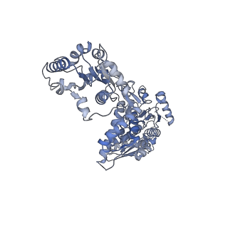 15242_8a8w_D_v1-1
Mycobacterium tuberculosis ClpC1 hexamer structure bound to the natural product antibiotic Ecumycin (class 1)