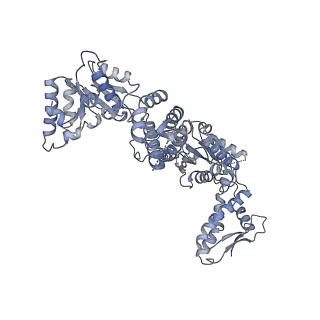 15242_8a8w_E_v1-1
Mycobacterium tuberculosis ClpC1 hexamer structure bound to the natural product antibiotic Ecumycin (class 1)