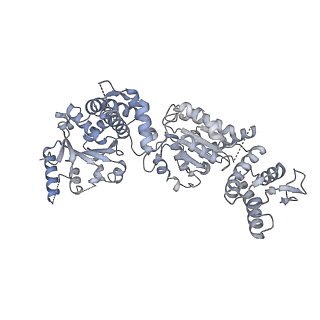 15242_8a8w_F_v1-1
Mycobacterium tuberculosis ClpC1 hexamer structure bound to the natural product antibiotic Ecumycin (class 1)
