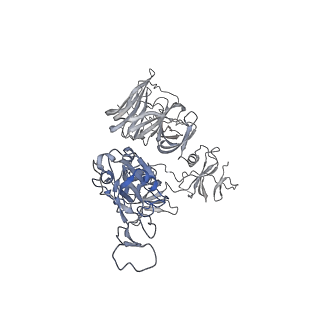 11682_7a92_A_v1-1
Dissociated S1 domain of SARS-CoV-2 Spike bound to ACE2 (Unmasked Refinement)