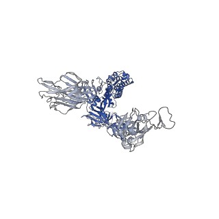 11684_7a94_A_v1-3
SARS-CoV-2 Spike Glycoprotein with 1 ACE2 Bound