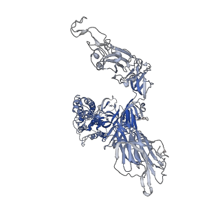 11684_7a94_B_v1-3
SARS-CoV-2 Spike Glycoprotein with 1 ACE2 Bound
