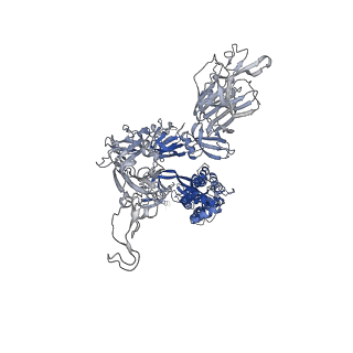 11684_7a94_C_v1-3
SARS-CoV-2 Spike Glycoprotein with 1 ACE2 Bound