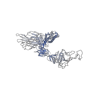 11685_7a95_A_v1-3
SARS-CoV-2 Spike Glycoprotein with 1 ACE2 Bound and 1 RBD Erect in Clockwise Direction