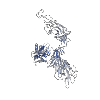 11685_7a95_B_v1-3
SARS-CoV-2 Spike Glycoprotein with 1 ACE2 Bound and 1 RBD Erect in Clockwise Direction
