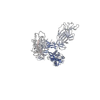 11685_7a95_C_v1-3
SARS-CoV-2 Spike Glycoprotein with 1 ACE2 Bound and 1 RBD Erect in Clockwise Direction