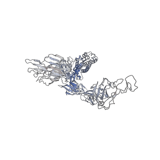 11686_7a96_A_v1-3
SARS-CoV-2 Spike Glycoprotein with 1 ACE2 Bound and 1 RBD Erect in Anticlockwise Direction