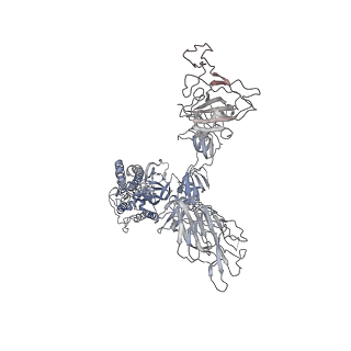 11686_7a96_B_v1-3
SARS-CoV-2 Spike Glycoprotein with 1 ACE2 Bound and 1 RBD Erect in Anticlockwise Direction