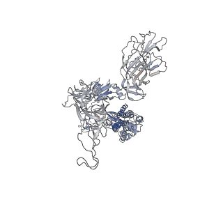 11686_7a96_C_v1-3
SARS-CoV-2 Spike Glycoprotein with 1 ACE2 Bound and 1 RBD Erect in Anticlockwise Direction