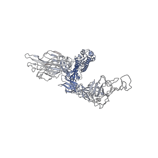 11687_7a97_A_v1-3
SARS-CoV-2 Spike Glycoprotein with 2 ACE2 Bound