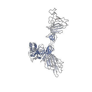 11687_7a97_B_v1-3
SARS-CoV-2 Spike Glycoprotein with 2 ACE2 Bound