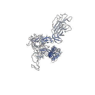 11687_7a97_C_v1-3
SARS-CoV-2 Spike Glycoprotein with 2 ACE2 Bound