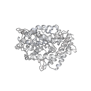 11687_7a97_D_v1-3
SARS-CoV-2 Spike Glycoprotein with 2 ACE2 Bound